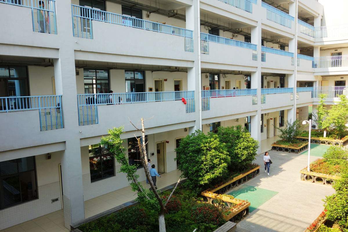 校舍裝修完買了400盆綠蘿凈化空氣，還有孩子開學***天就熏暈了！