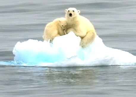 溫室效應(yīng)產(chǎn)生的主要原因是什么?我們又該如何解決 溫室效應(yīng)產(chǎn)生的主要原因是什么?我們又該如何解決