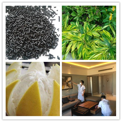 新房除甲醛，您一定不會失手！