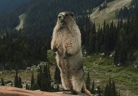 環保材料竟然裝修出污染房，新房裝修怎么這么難?。?！