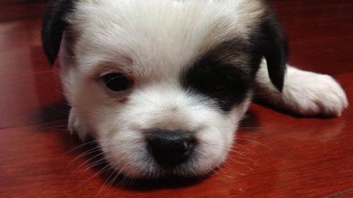 床墊薄膜要撕嗎？不僅要撕還要除甲醛！