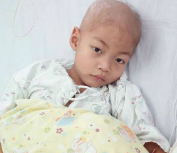 新房除甲醛，請找創綠家