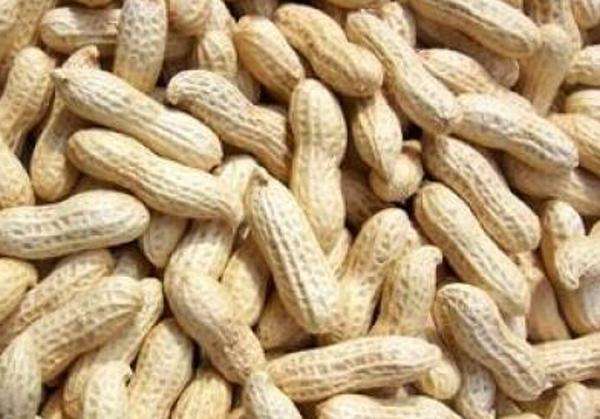 水煮花生含甲醛？實測多家燒烤店結果太可怕！