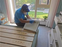 有效的除醛方法有哪些?