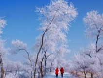 如何解決冬季室內(nèi)和車內(nèi)環(huán)境污染問題的問題呢?