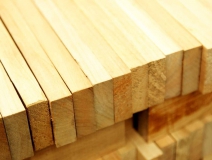 家長們集體發聲:不要打著“環保”的旗子對孩子痛下毒手!