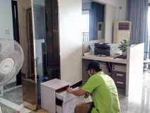 裝修后除甲醛依靠綠植可以嗎？