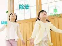 新房裝修甲醛來自哪里?