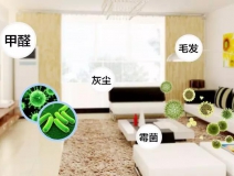 環保家裝:帶著除甲醛的眼光設計裝修