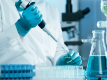 綠植真的能除甲醛嗎？