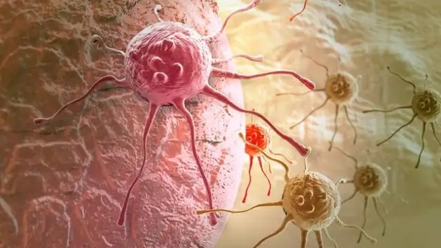 癌癥、白血病越來越多，是因?yàn)闀r代在進(jìn)步而導(dǎo)致的嗎？